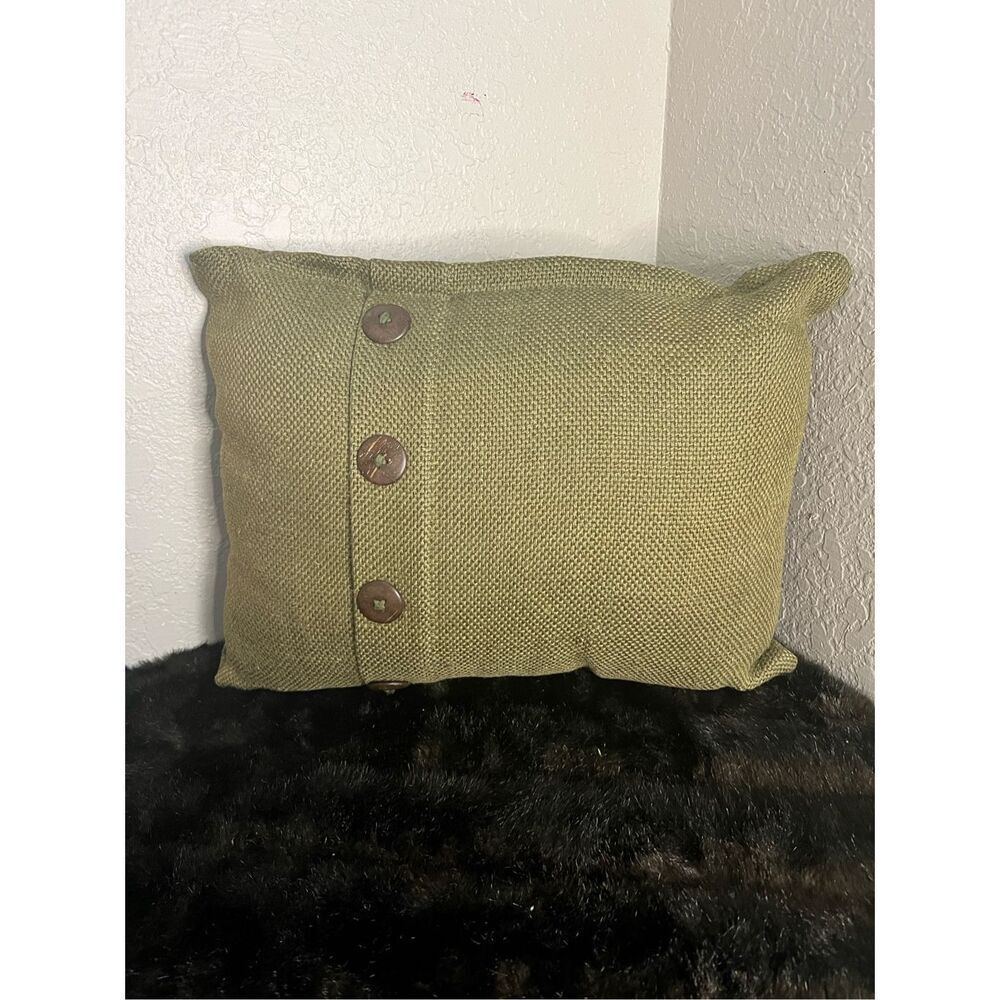 Cost plus market sage jute pillow